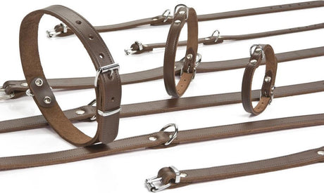 Beeztees - halsband hond - leer - bruin - 37,5-46,5 cm x 20 mm