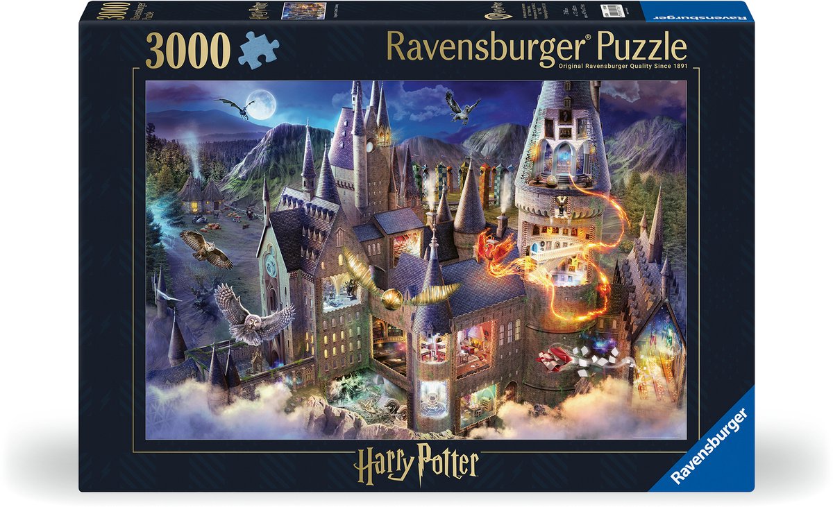 Ravensburger zweinstein kasteel