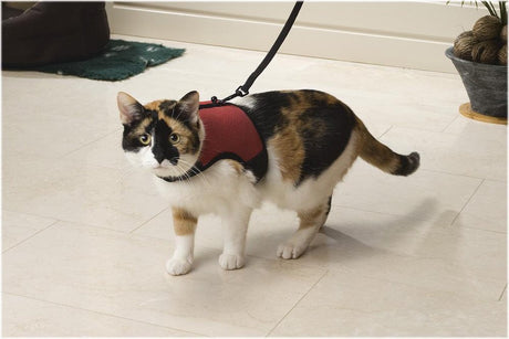 Beeztees loopharnas comfort - kattentuigje