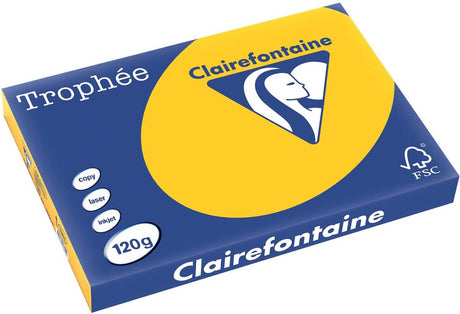 Clairefontaine troph zonneblmgl a3 120gr 250v