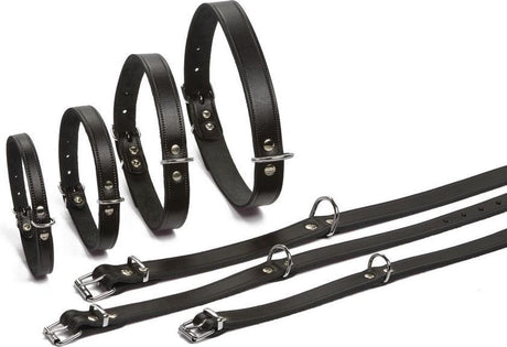 Beeztees - halsband hond - leer - zwart - 43-52 cm x 20 mm