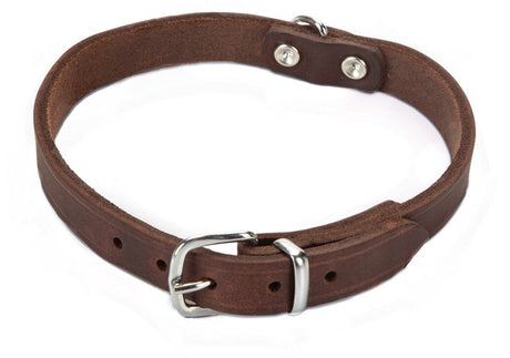 Beeztees - halsband hond - leer - bruin - 35,5-41,5 cm x 18 mm