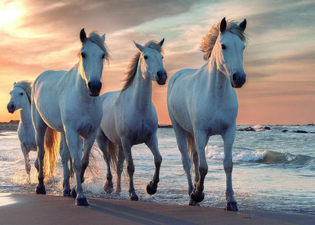Rebo legpuzzel - 1000 st - horses