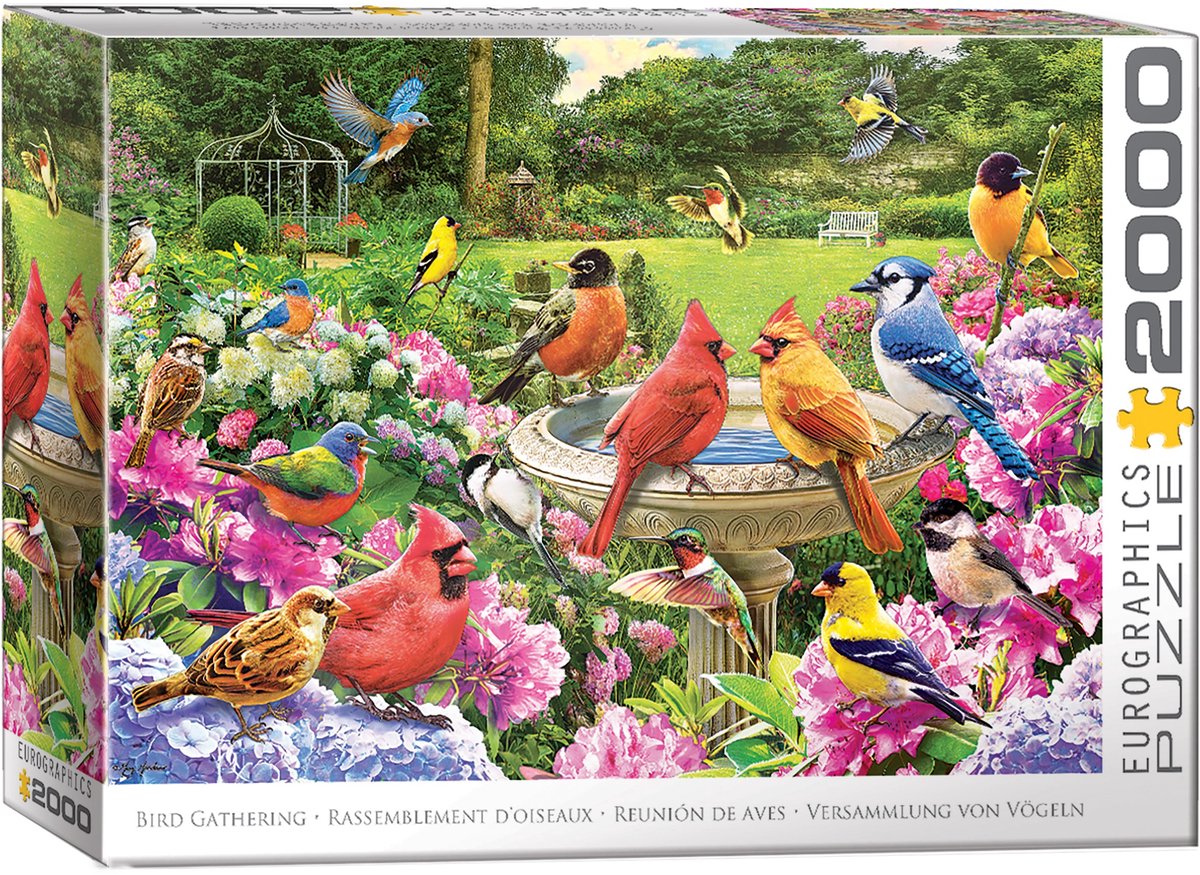 Eurographics puzzel vogels 2000 stukjes - legpuzzel natuur.