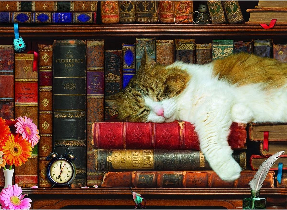 Eurographics - het katten dutje [the cat nap] - 500 xl stukjes 68×48cm (b×h) - familie legpuzzel