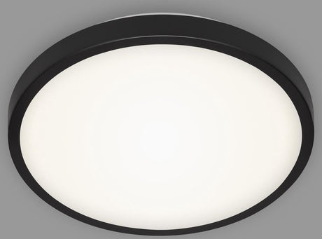 Briloner manny - led plafonniére - plafondlamp met neutrale wit licht - 12w - 1.200lm - 4.000k - ø29 cm - zwart