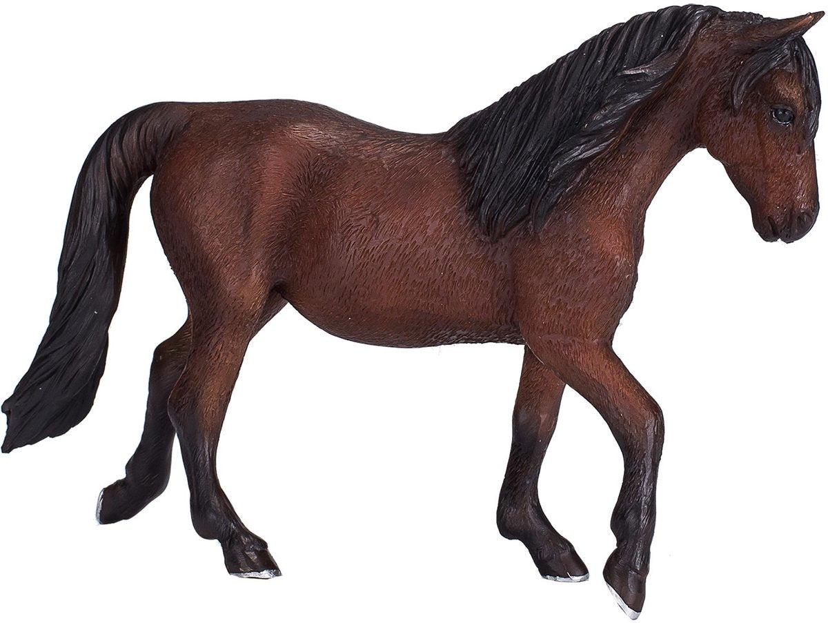 Mojo horse world morgan hengst bruin - 381021