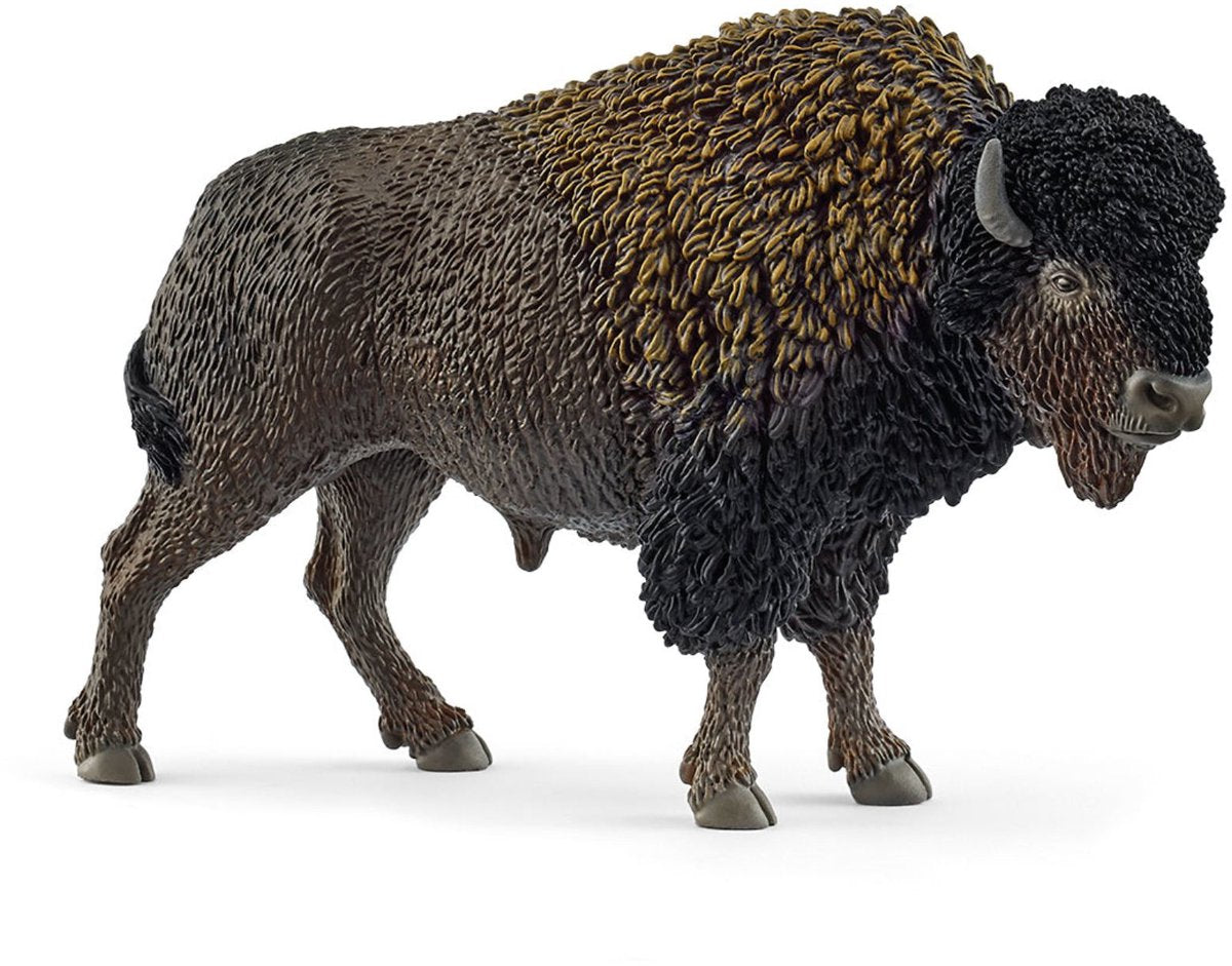 Schleich wild life - bizon - 14879