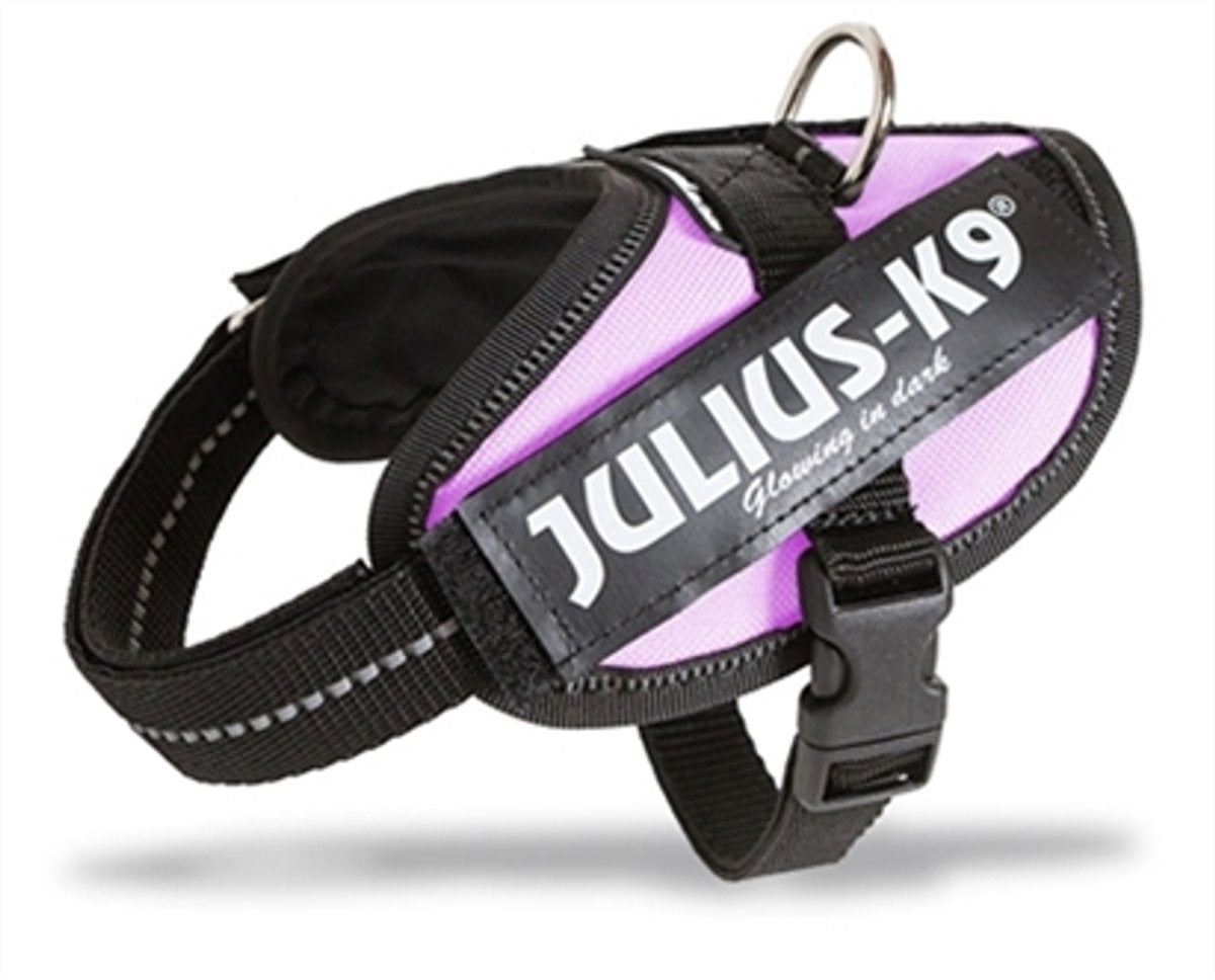 Julius k9 wereld bekende idc powertuig voor tekstlabels roze maat: mini-mini