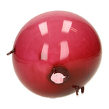 Duckiez ballon bal dieren