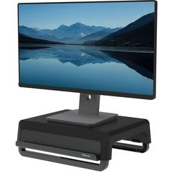 Monitorstandaard fellowes 100016560 zwart 15000 g