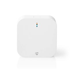 Castreceiver nedis smartlife wifizbt10cwt wit
