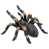 Mojo Wildlife Rode Tarantula 387213