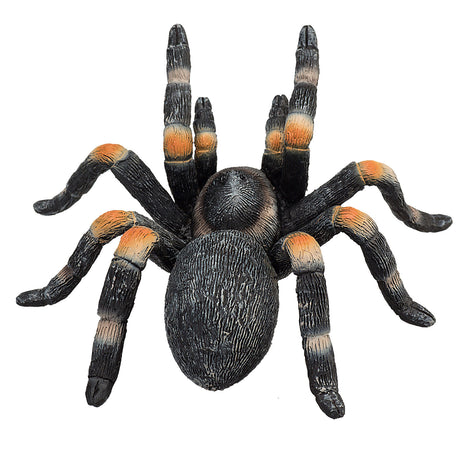 Mojo wildlife rode tarantula - 387213