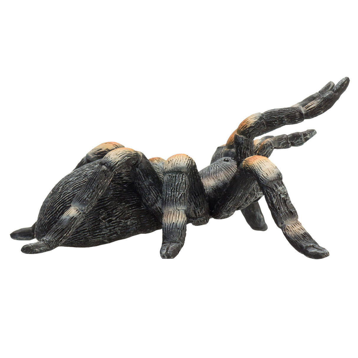 Mojo Wildlife Rode Tarantula 387213