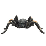 Mojo Wildlife Rode Tarantula 387213