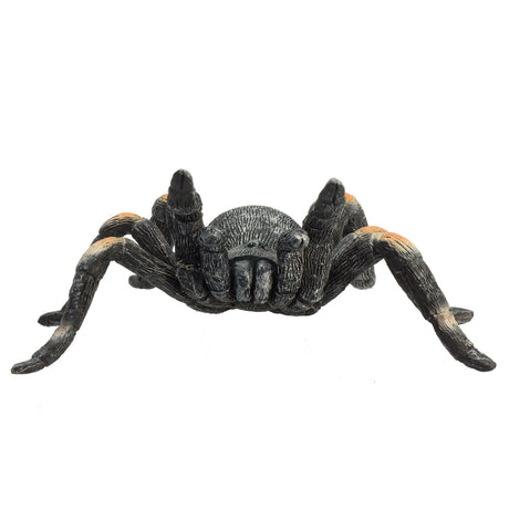 Mojo wildlife rode tarantula - 387213