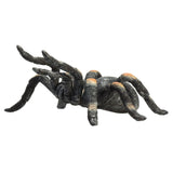 Mojo wildlife rode tarantula - 387213
