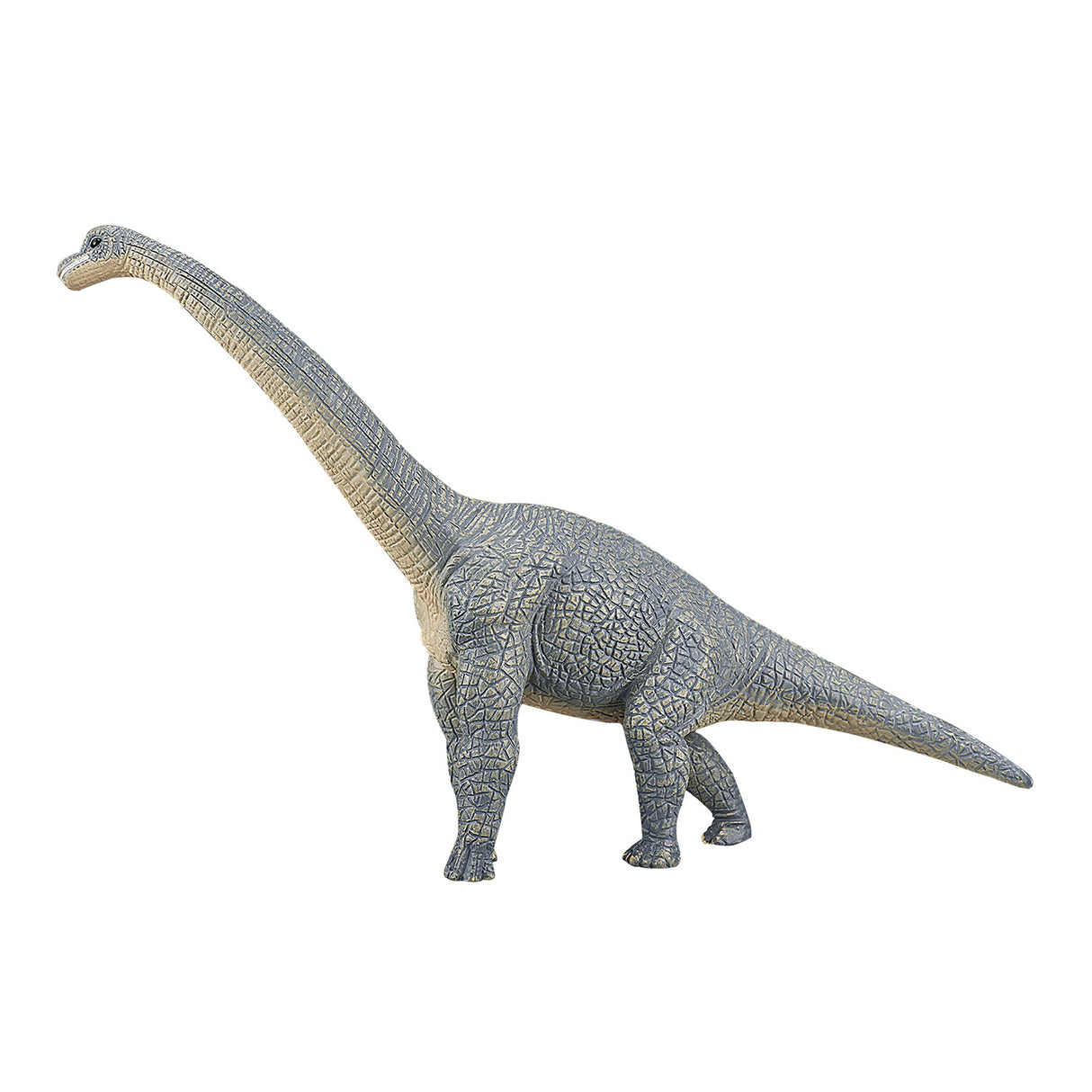 Mojo Prehistorie Brachiosaurus 387044