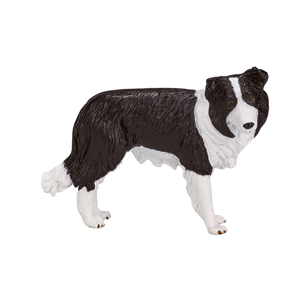 Mojo Farmland Border Collie 387203