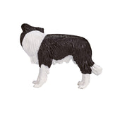 Mojo Farmland Border Collie 387203