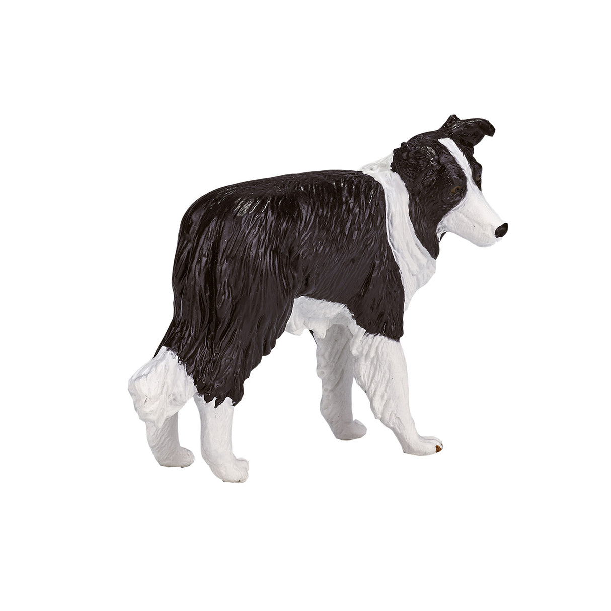 Mojo Farmland Border Collie 387203