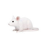 Mojo farmland muis - 387235