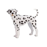 Mojo farmland dalmatiër - 387248