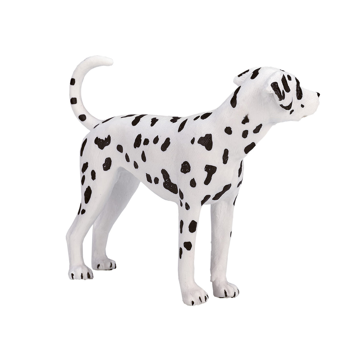 Mojo farmland dalmatiër - 387248