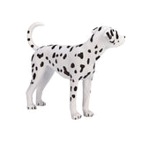 Mojo farmland dalmatiër - 387248