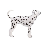 Mojo farmland dalmatiër - 387248