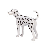 Mojo farmland dalmatiër - 387248
