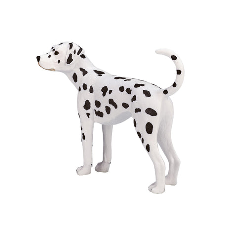 Mojo farmland dalmatiër - 387248