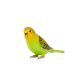 Mojo farmland grasparkiet groen - 387262