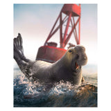 Mojo sealife zeeolifant - 387208