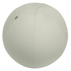 Leitz ergo actieve zitbal - anti-rol design - 75cm - lichtgrijs