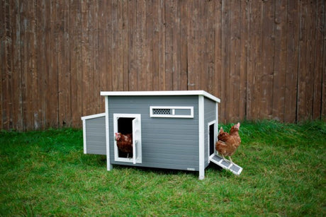 Producten kippenhok eco stal kunststof barney