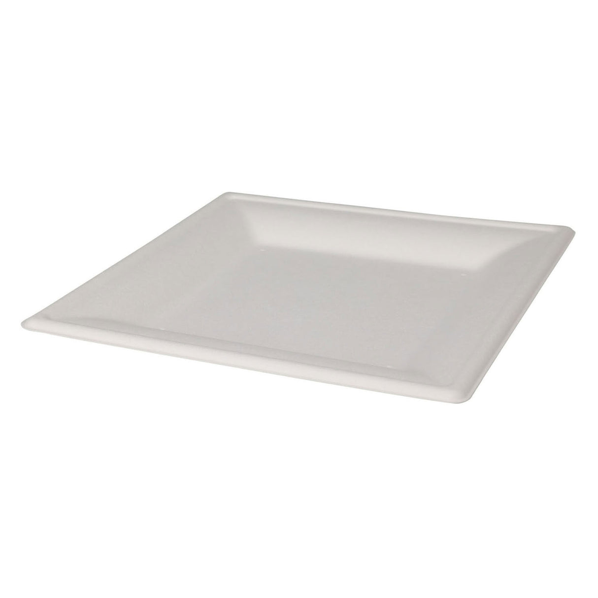 Wegwerpbordjes vierkant 20cm, 8st.