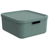 Rotho decoratie opbergbox albula light 20 l mistletoe groen
