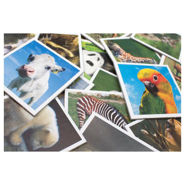 Tactic memory - kaartspel - memo - babydieren