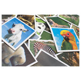 Tactic memory - kaartspel - memo - babydieren