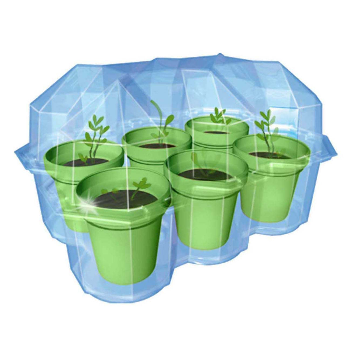 Kosmos mimosa garden – experimenteerset – kweek je eigen gevoelige plant – inclusief kweekpot, aarde en zaden – plant die reageert op aanraking