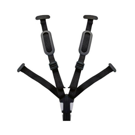 Bobike seat belt evolve
