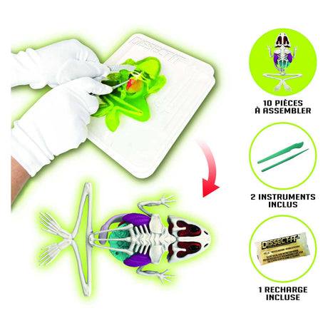 Silverlit slimy lab dissect-it - ontleed een kikker