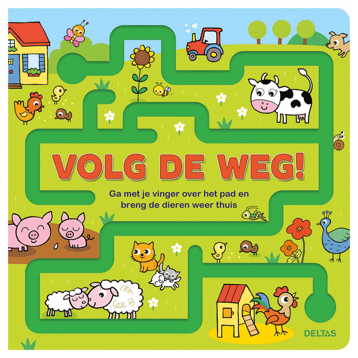 Deltas Kartonboek Volg de weg!