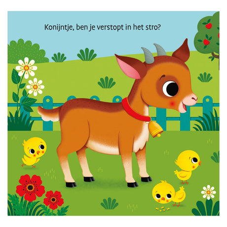 Deltas waar is het konijntje? flapjesboek