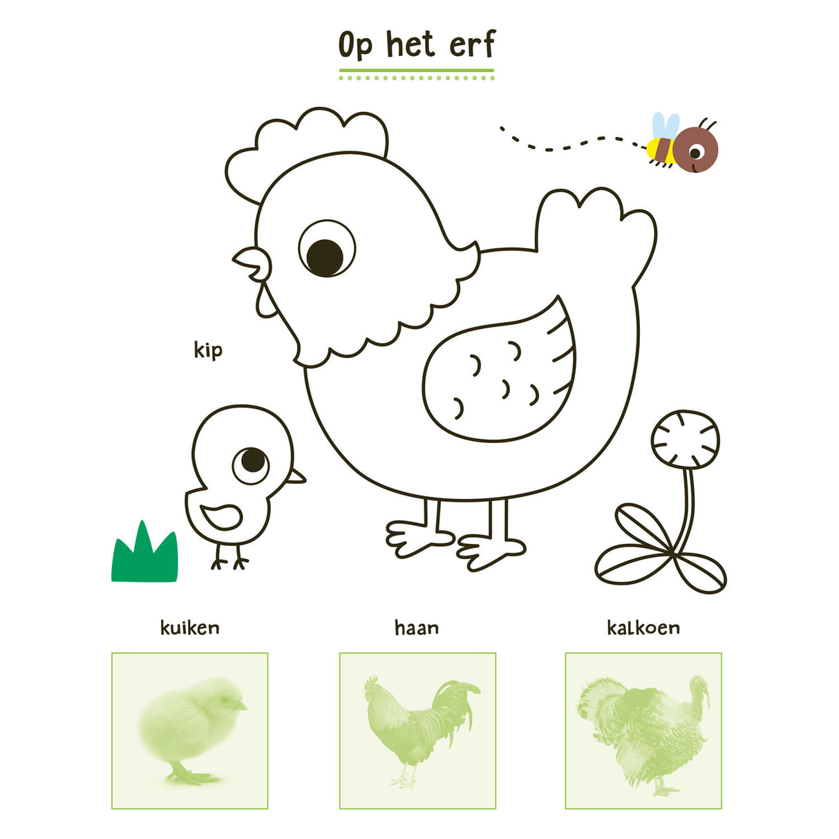 Deltas Mijn Dieren Stickerboek