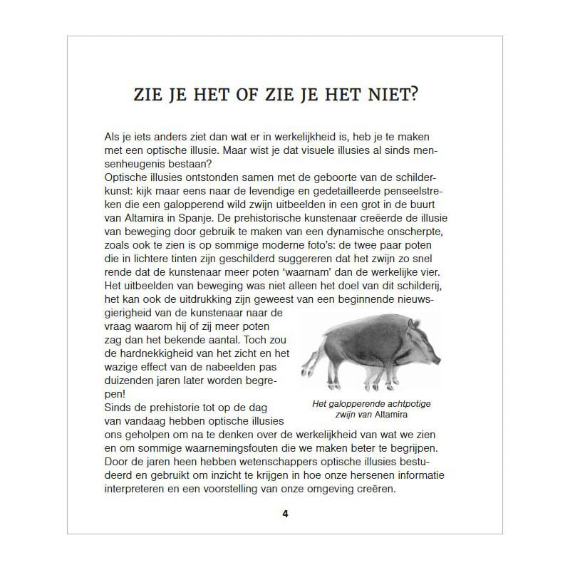 Deltas verbluffende optische puzzels