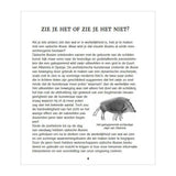 Deltas verbluffende optische puzzels