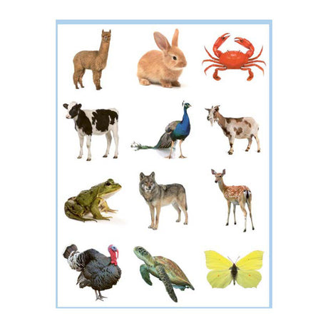 Deltas lieve dieren kleur- en stickerboek - 3-5 jaar